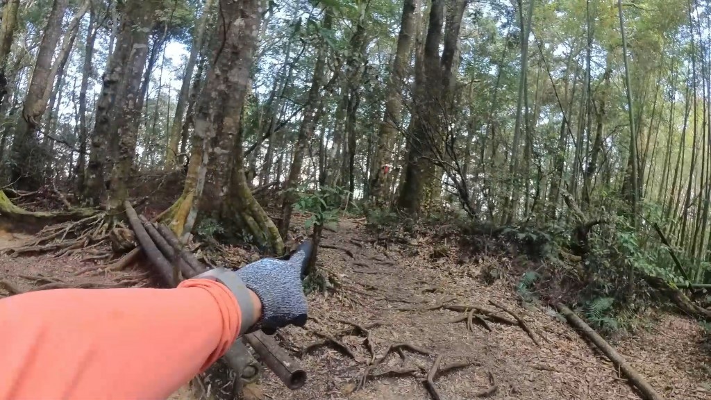 金柑樹山(41) (自訂).jpg 金柑樹山(41) (自訂).jpg