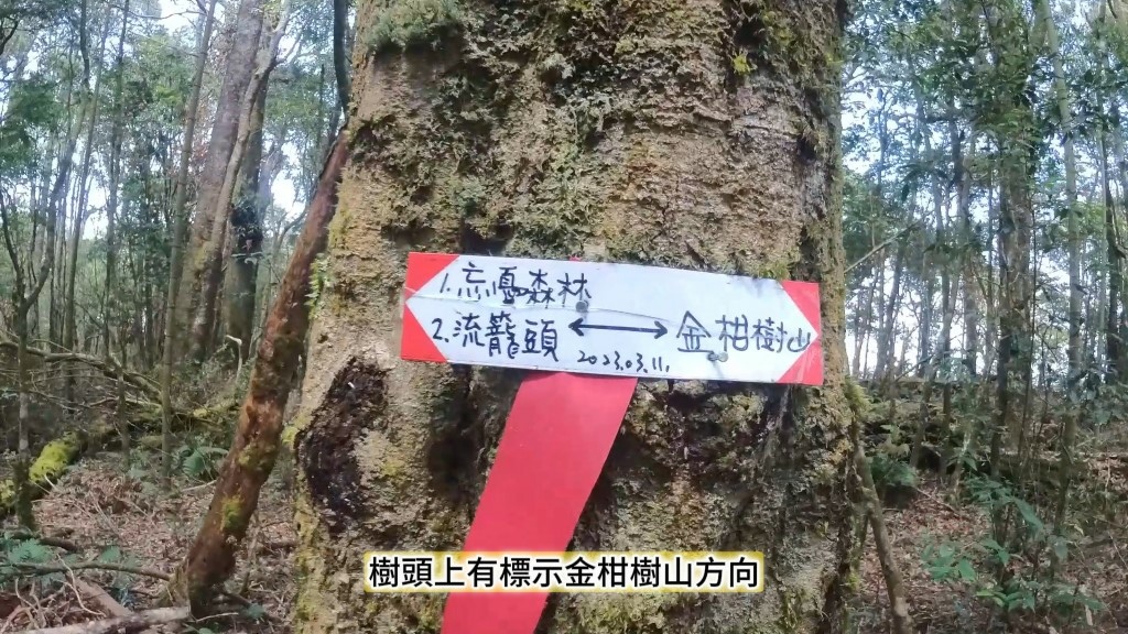 金柑樹山(42) (自訂).jpg 金柑樹山(42) (自訂).jpg