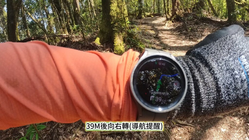 金柑樹山(44) (自訂).jpg 金柑樹山(44) (自訂).jpg