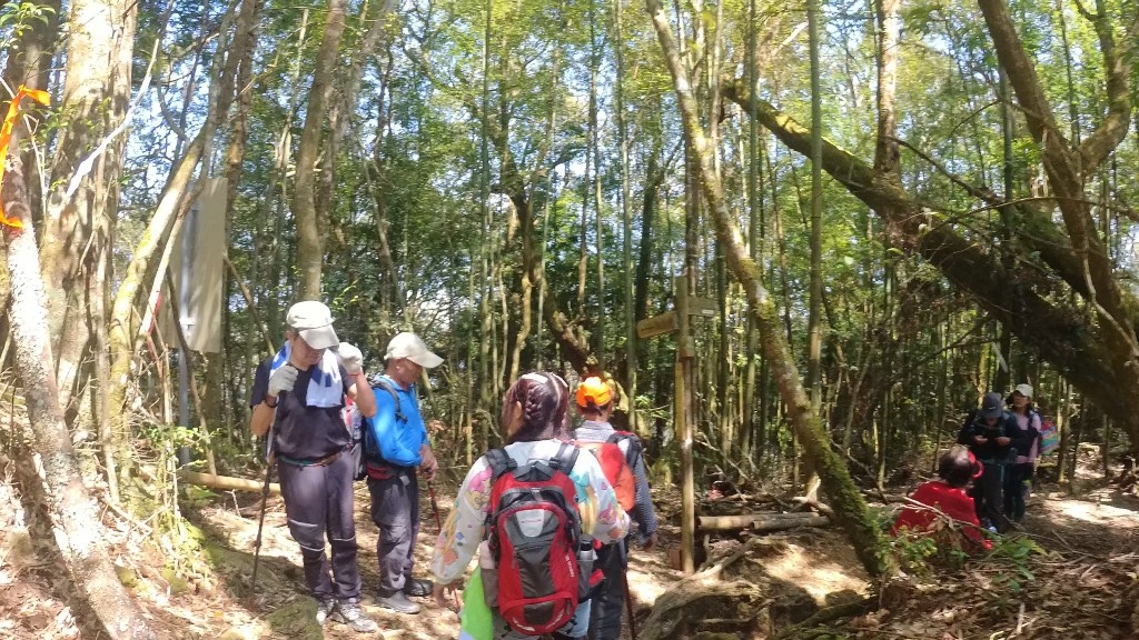 金柑樹山(45) (自訂).jpg 金柑樹山(45) (自訂).jpg