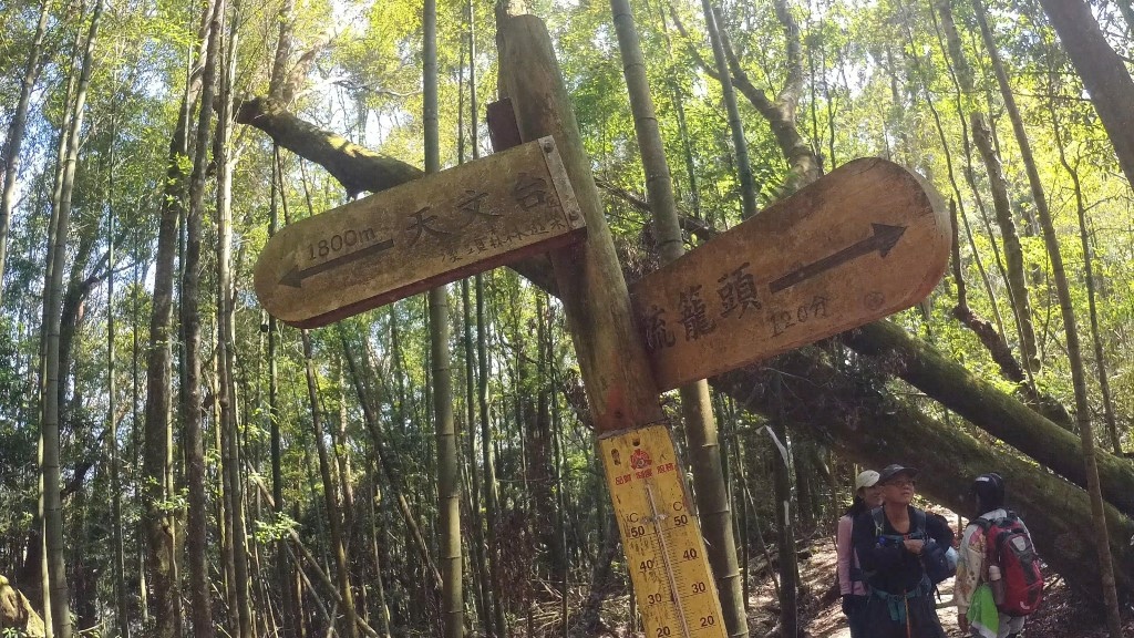 金柑樹山(46) (自訂).jpg 金柑樹山(46) (自訂).jpg