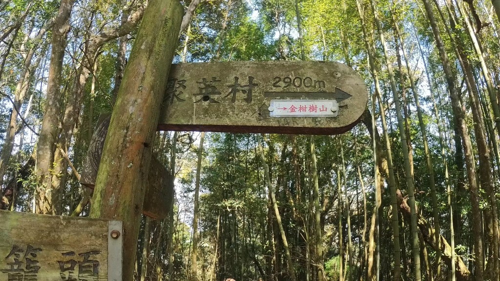 金柑樹山(47) (自訂).jpg 金柑樹山(47) (自訂).jpg