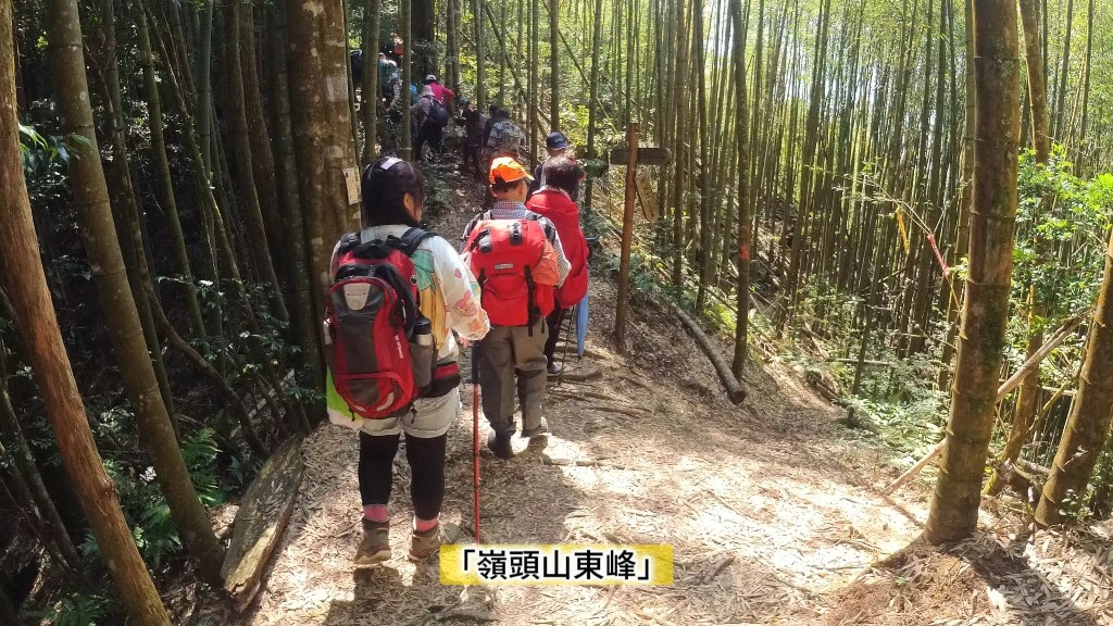 金柑樹山(48) (自訂).jpg 金柑樹山(48) (自訂).jpg