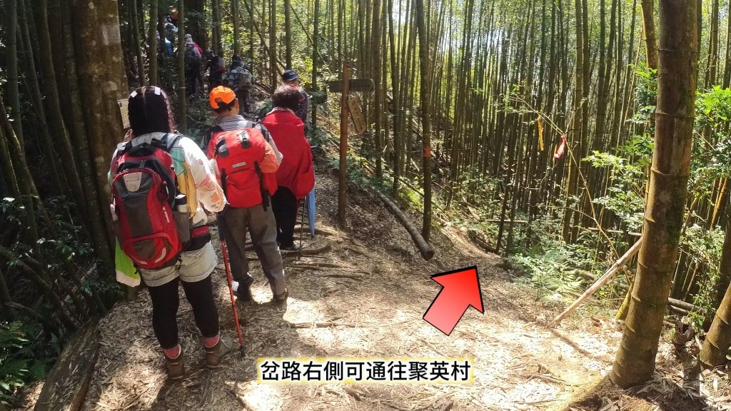 金柑樹山(49) (自訂).jpg 金柑樹山(49) (自訂).jpg