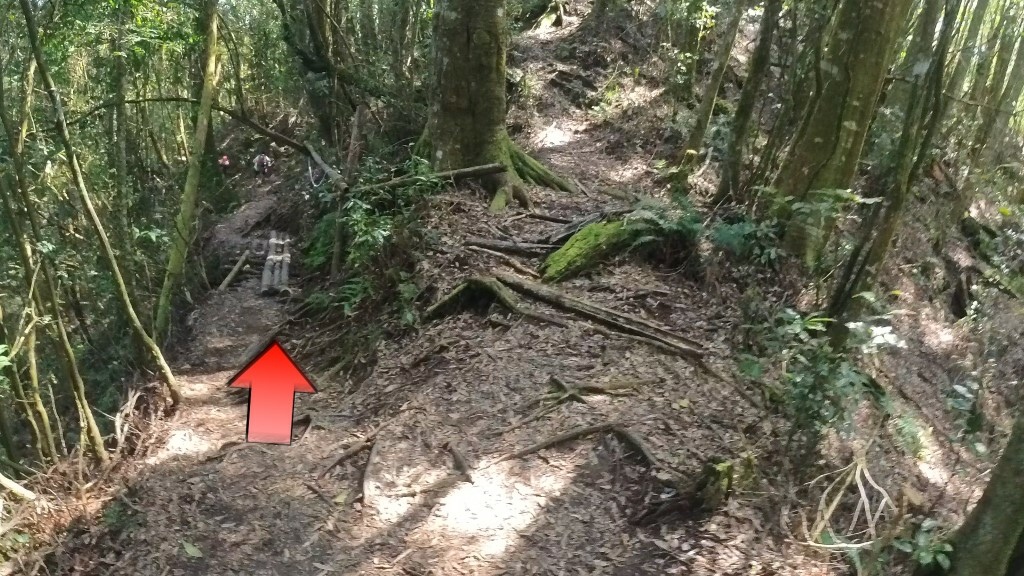 金柑樹山(51) (自訂).jpg 金柑樹山(51) (自訂).jpg