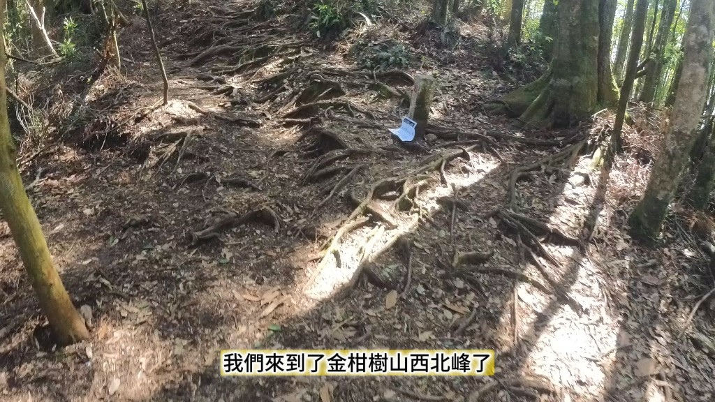 金柑樹山(55) (自訂).jpg 金柑樹山(55) (自訂).jpg