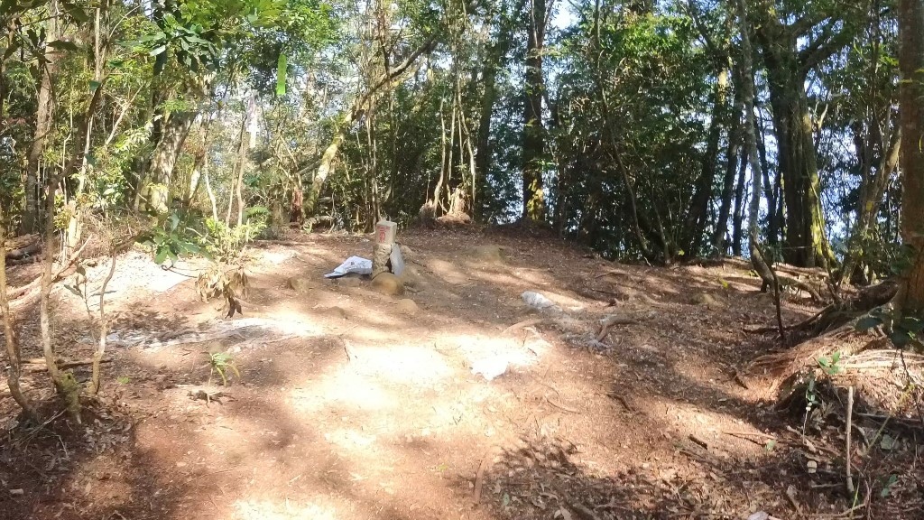 金柑樹山(56) (自訂).jpg 金柑樹山(56) (自訂).jpg