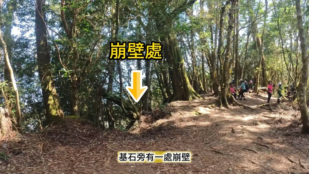 金柑樹山(59) (自訂).jpg 金柑樹山(59) (自訂).jpg