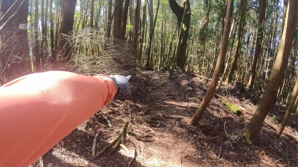 金柑樹山(64) (自訂).jpg 金柑樹山(64) (自訂).jpg