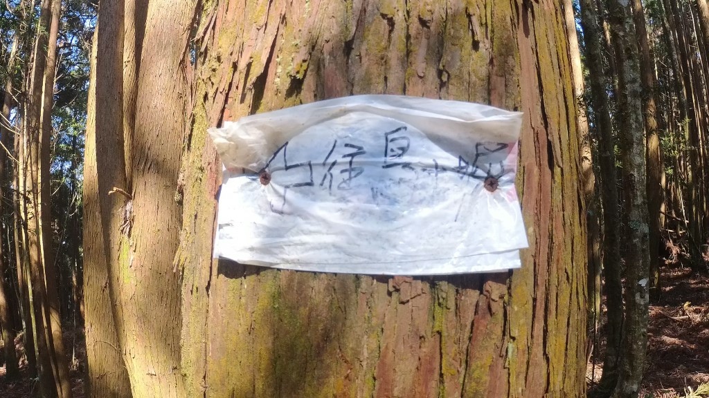 金柑樹山(65) (自訂).jpg 金柑樹山(65) (自訂).jpg