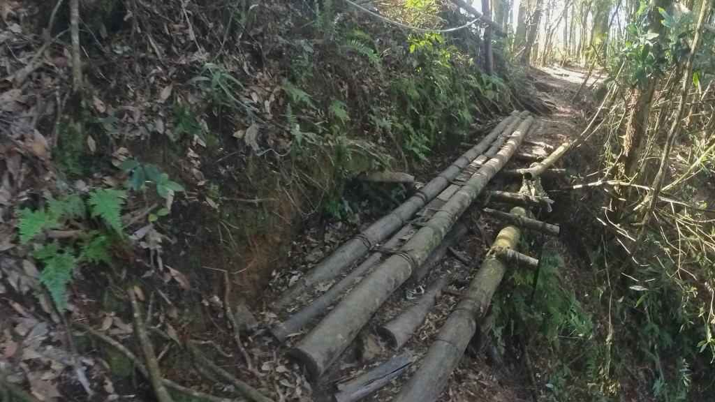 金柑樹山(70) (自訂).jpg 金柑樹山(70) (自訂).jpg