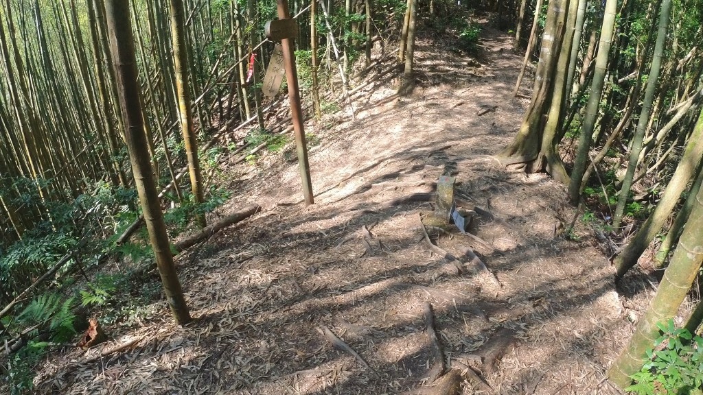 金柑樹山(1) (自訂) (1).jpg 金柑樹山(1) (自訂) (1).jpg