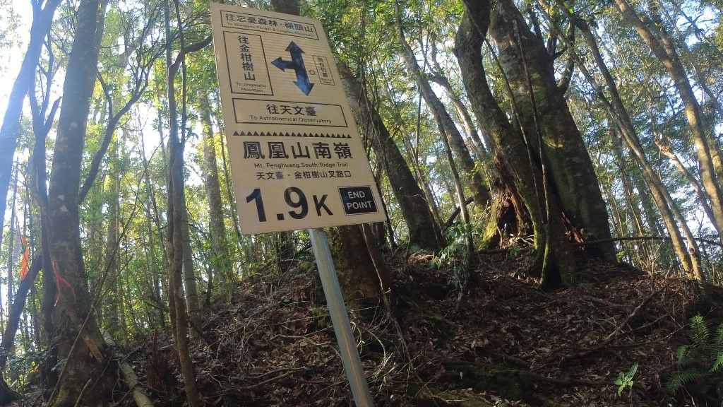 金柑樹山(10) (自訂) (1).jpg 金柑樹山(10) (自訂) (1).jpg