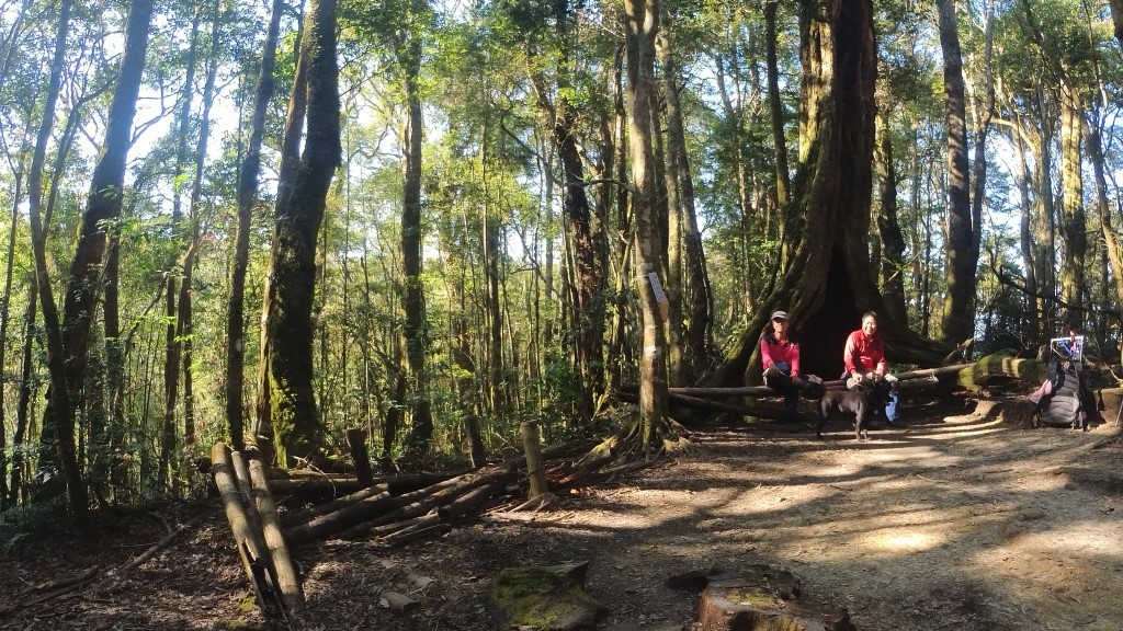 金柑樹山(74) (自訂).jpg 金柑樹山(74) (自訂).jpg