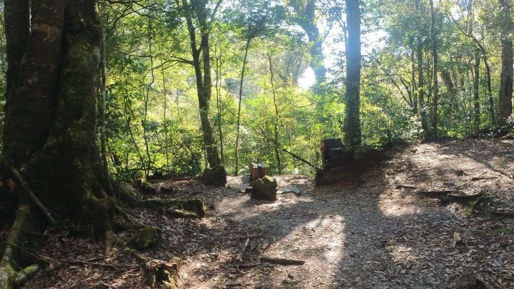 金柑樹山(12) (自訂).jpg 金柑樹山(12) (自訂).jpg