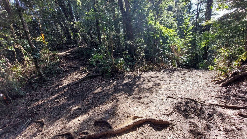 20250309_151706 (自訂).jpg 20250309_151706 (自訂).jpg