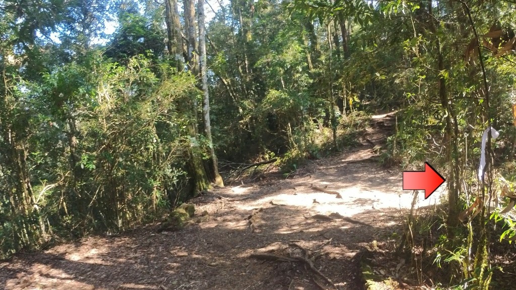 金柑樹山(14) (自訂).jpg 金柑樹山(14) (自訂).jpg