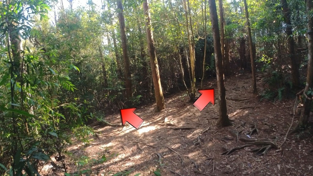 金柑樹山(18) (自訂).jpg 金柑樹山(18) (自訂).jpg