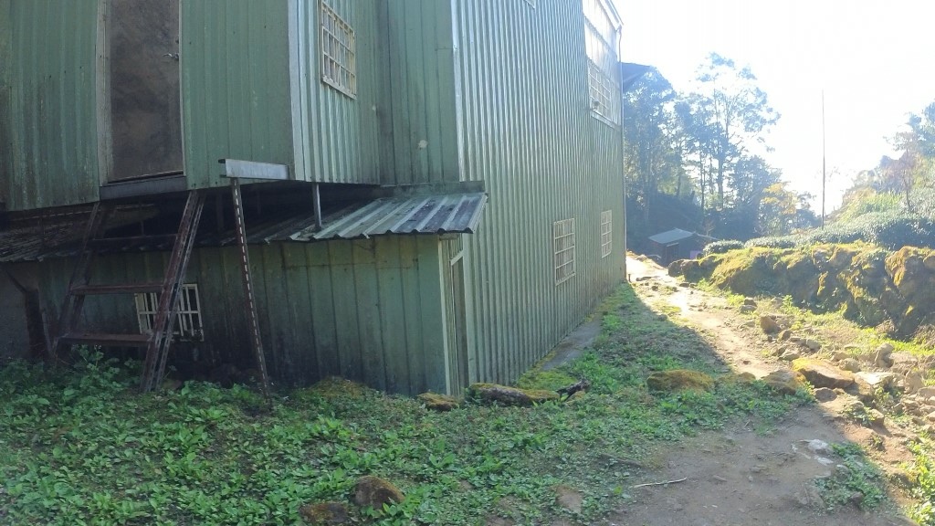 金柑樹山(21) (自訂).jpg 金柑樹山(21) (自訂).jpg