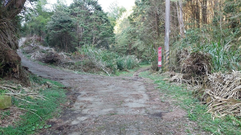 20250309_160241 (自訂).jpg