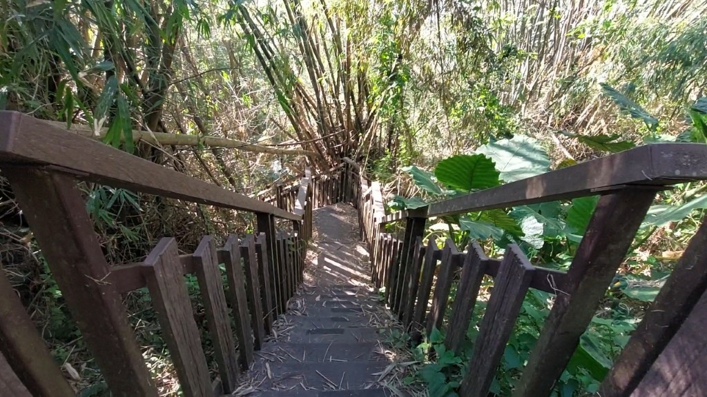 5 (自訂).jpg 5 (自訂).jpg