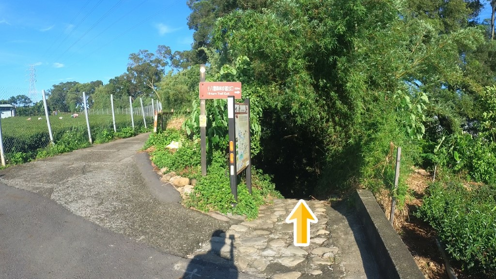 13 (自訂).jpg 13 (自訂).jpg