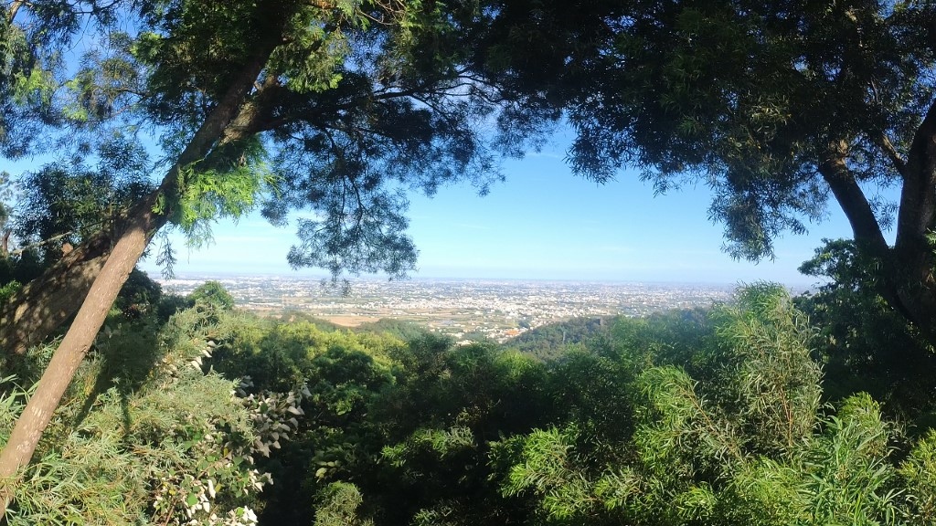 16-1 (自訂).jpg 16-1 (自訂).jpg