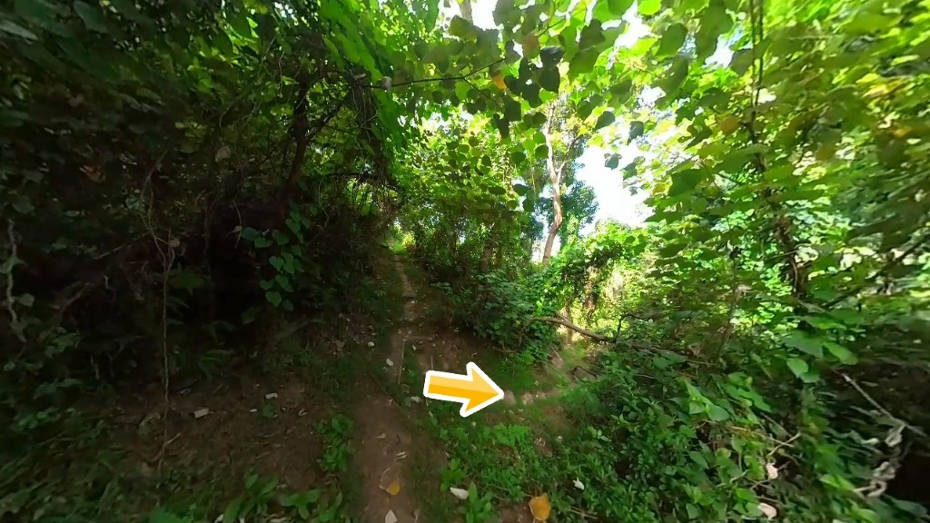 31 (自訂).jpg 31 (自訂).jpg