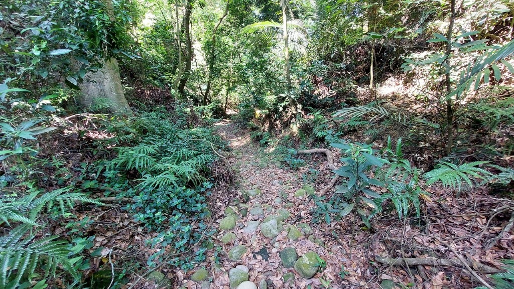 32 (自訂).jpg 32 (自訂).jpg