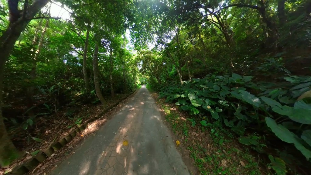 36 (自訂).jpg 36 (自訂).jpg