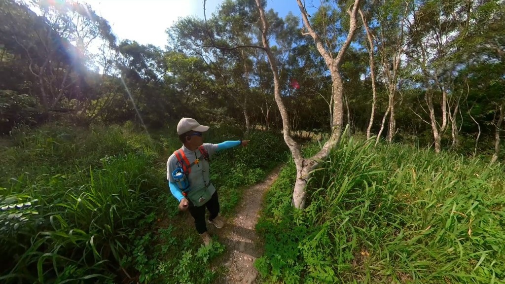 33 (自訂).jpg 33 (自訂).jpg