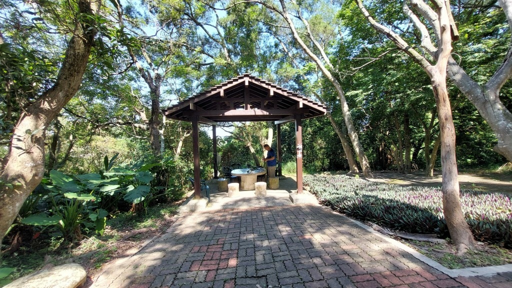 37 (自訂).jpg 37 (自訂).jpg