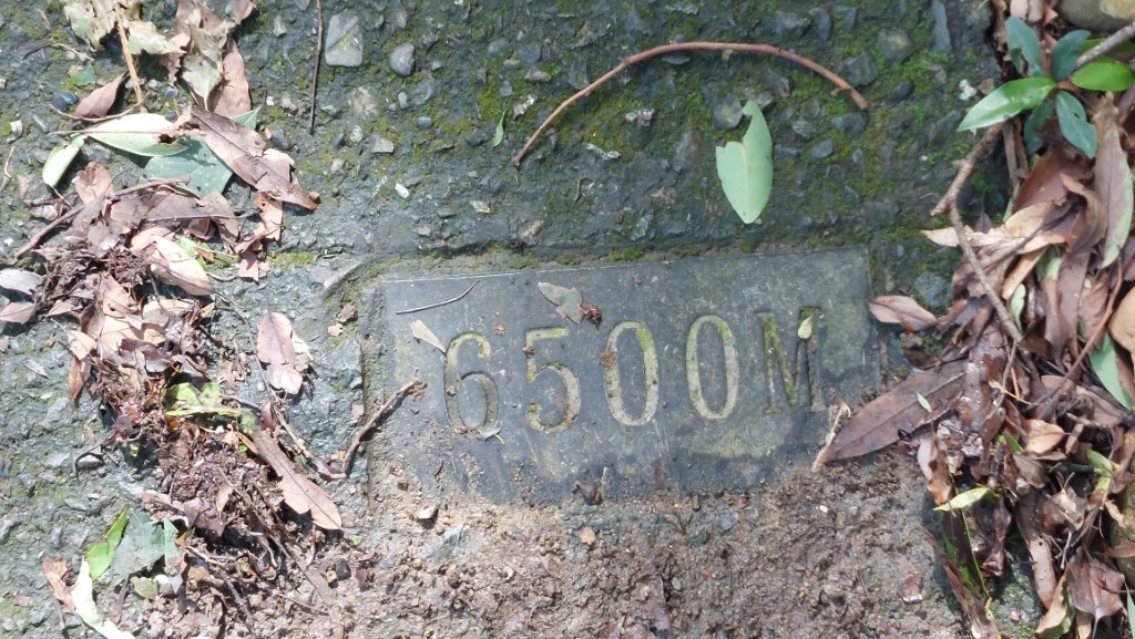 50 (自訂).jpg 50 (自訂).jpg