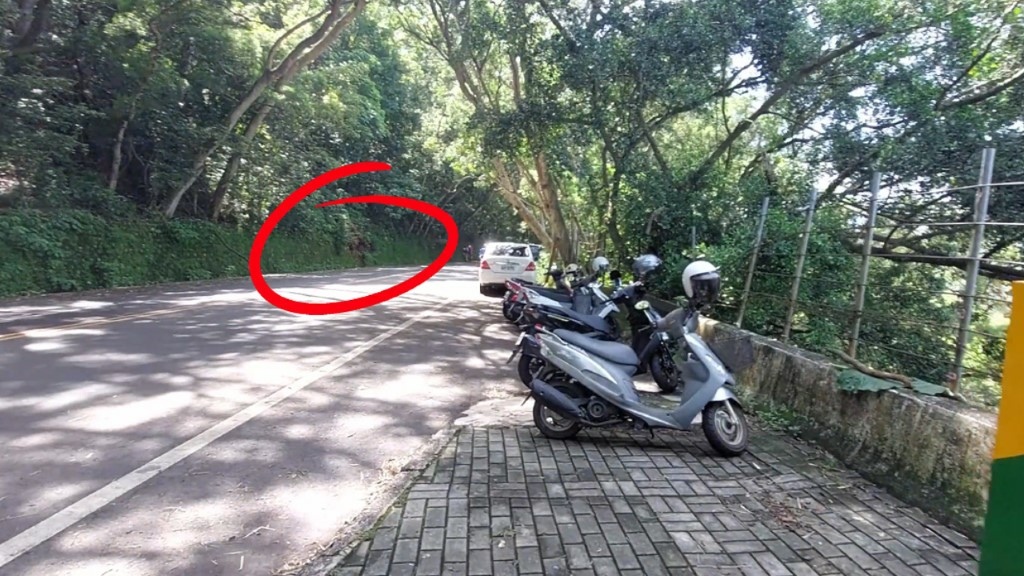 54 (自訂).jpg 54 (自訂).jpg