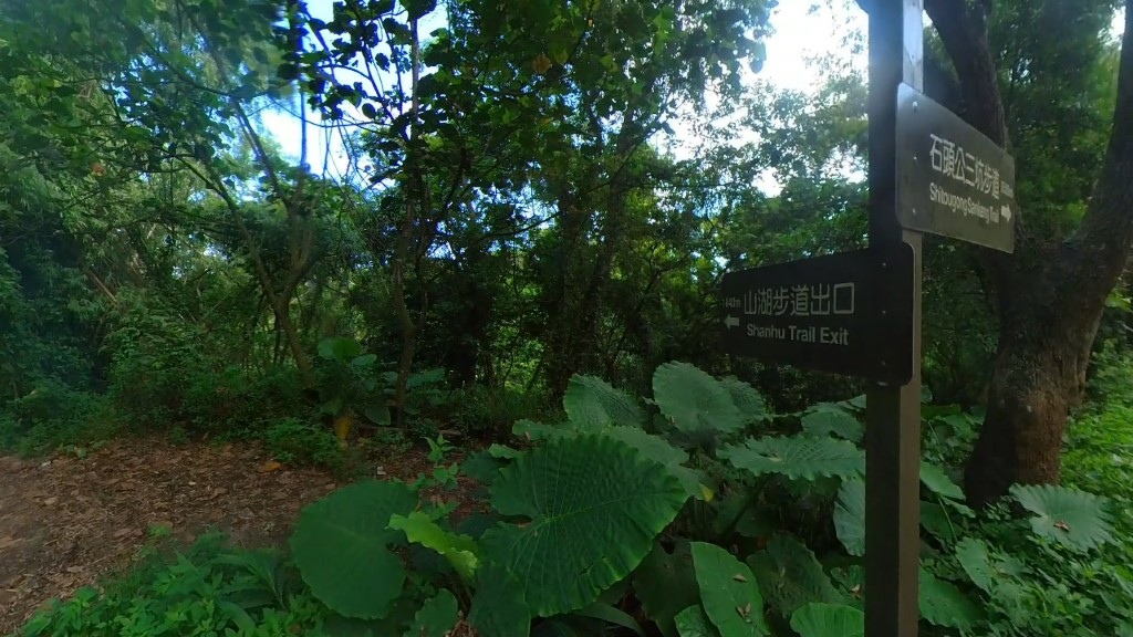 68 (自訂).jpg 68 (自訂).jpg