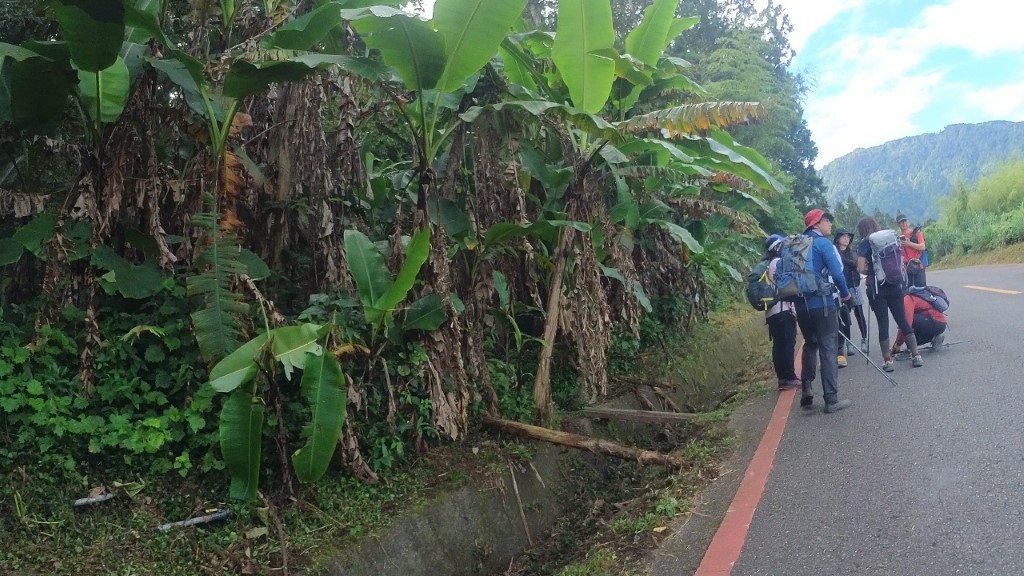 6 (自訂).jpg 6 (自訂).jpg