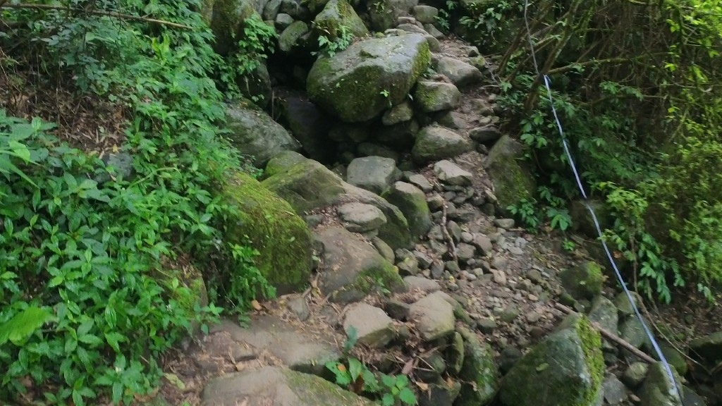 11 (自訂).jpg 11 (自訂).jpg