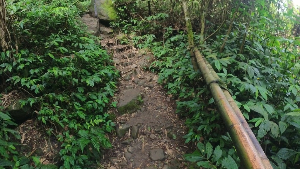 13 (自訂).jpg 13 (自訂).jpg