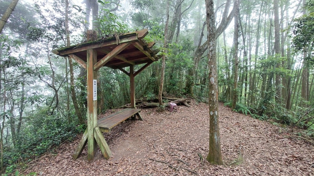 20250524_113845 (自訂).jpg