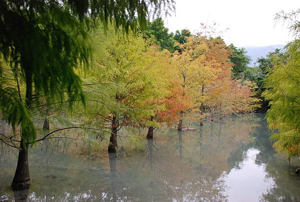 雲山水10