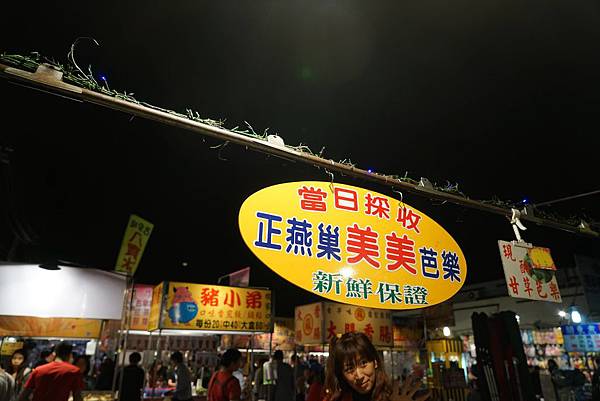 DSC03678_compressed DSC03678_compressed