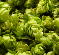 whole-hops