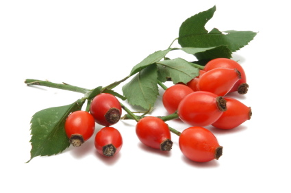 rosehip