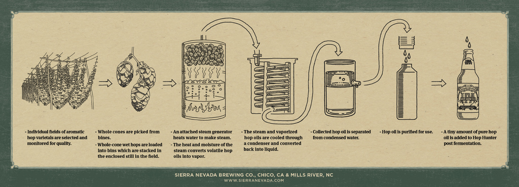 HopDistillation_Graphic