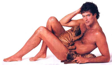 David Hasselhoff covered in puppies