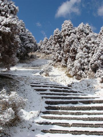 阿蘇火山34