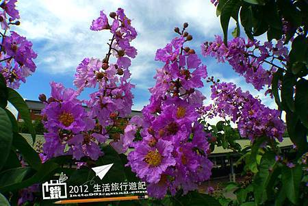 P4820254 P4820254