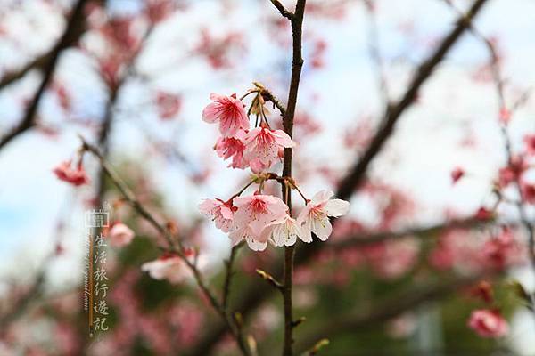 IMG_5846 IMG_5846