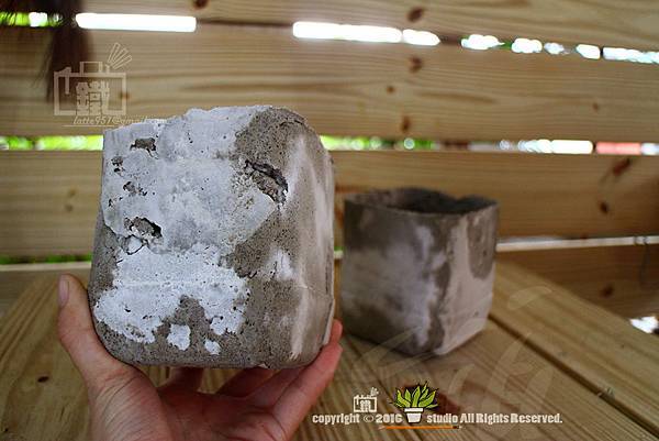 IMG_5215.jpg IMG_5215.jpg