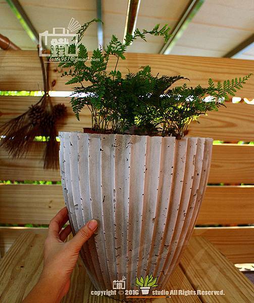 IMG_5387.jpg IMG_5387.jpg